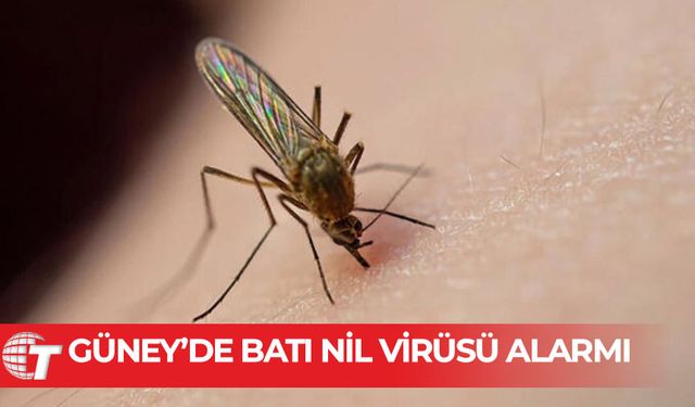 Güney Kıbrıs, Batı Nil virüsü konusunda alarma geçti
