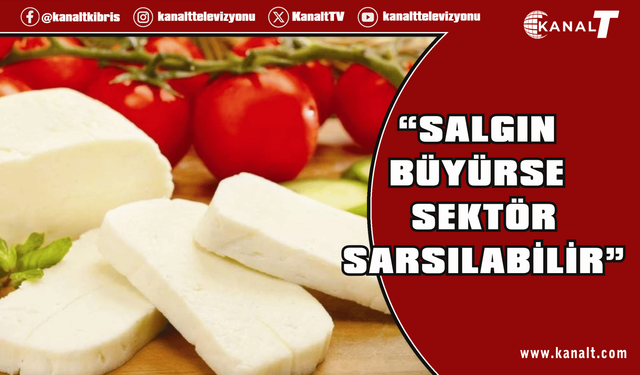 Güney Kıbrıs'ta hellim üretimi tehlikede