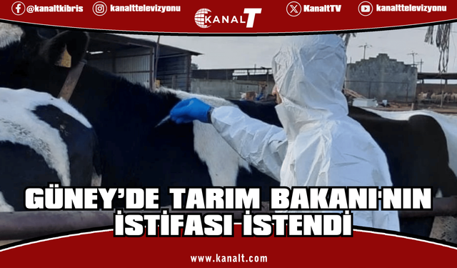 Rum hayvancılar şap hastalığı nedeniyle itlaflara tepkili