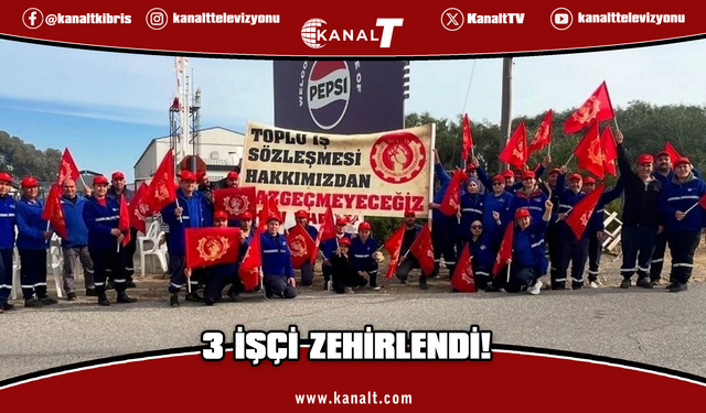 Ektam tesisinde iş kazası: Üretim durduruldu