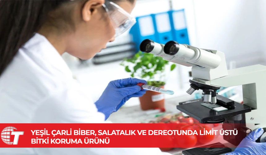 Yeşil Çarli biber, salatalık ve dereotunda limit üstü bitki koruma ürünü