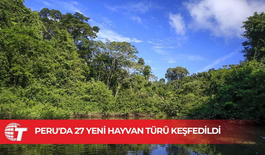 Peru'da yapılan araştırmada 27 yeni hayvan türü keşfedildi