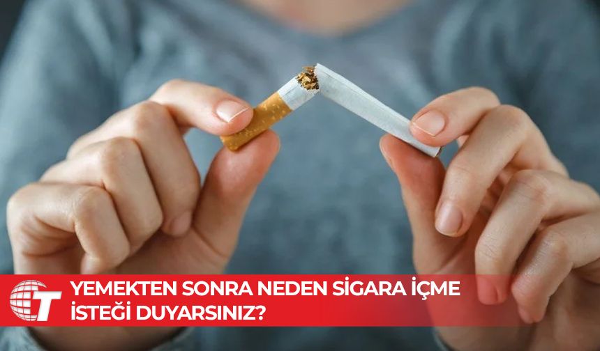 Yemek sonrası sigara içme isteği neden kaynaklıdır?