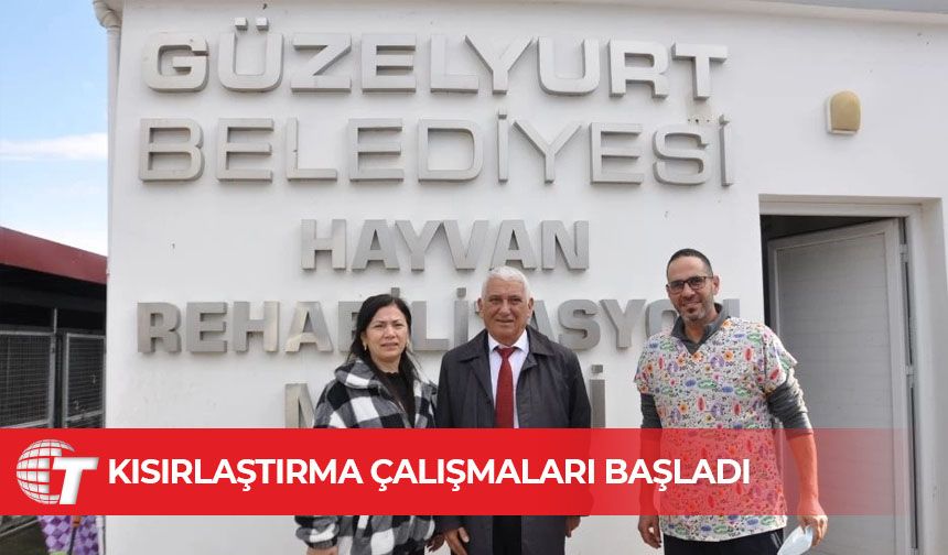 Güzelyurt Belediyesi ile NETAP işbirliğinde Rehabilitasyon Merkezindeki kısırlaştırma çalışmaları başladı