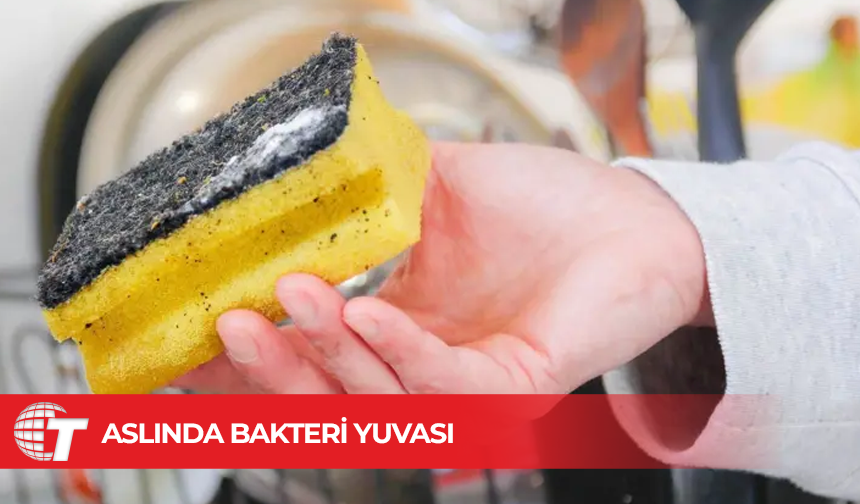 Mutfağınızdaki bulaşık süngeri aslında bakteri yuvası