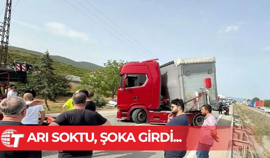 Seyir halindeyken arı soktu: