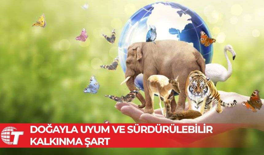 22 Mayıs Dünya Biyolojik Çeşitlilik Günü