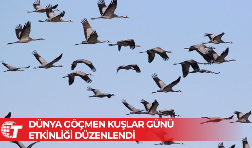 Her Daim Doğa Dostları tarafından Dünya Göçmen Kuşlar Günü etkinliği düzenlendi