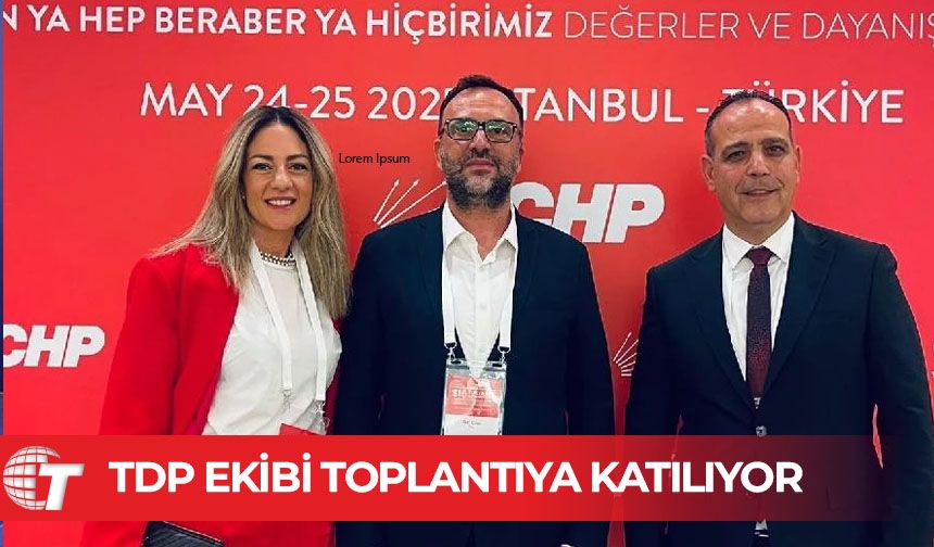TDP ekibi Sosyalist Enternasyonal Konsey Toplantısı'na katılıyor