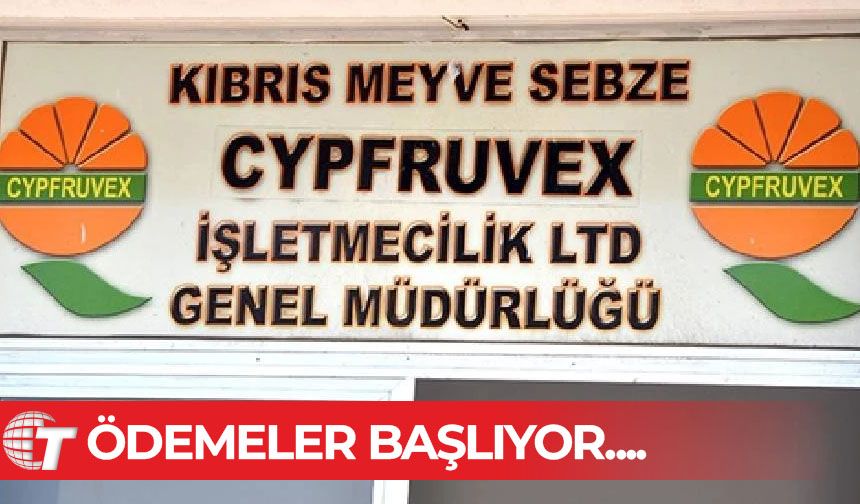 Cypfruvex narenciye ödemelerine başlıyor