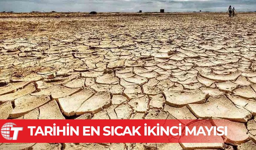 Avrupa'da kuraklık alarmı