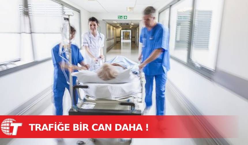 Acı haber... Trafiğe bir can daha!