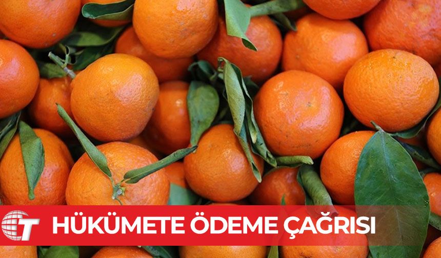 Narenciye üreticilerinden hükümete ödeme çağrısı