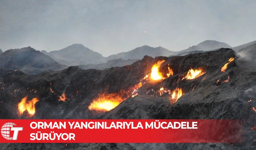 Mersin’in Silifke ve Anamur ilçelerindeki orman yangınlarına müdahale sürüyor