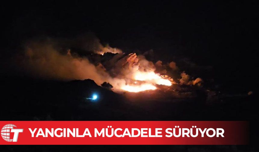 Marmara Adası'nda orman yangını: Müdahale sürüyor