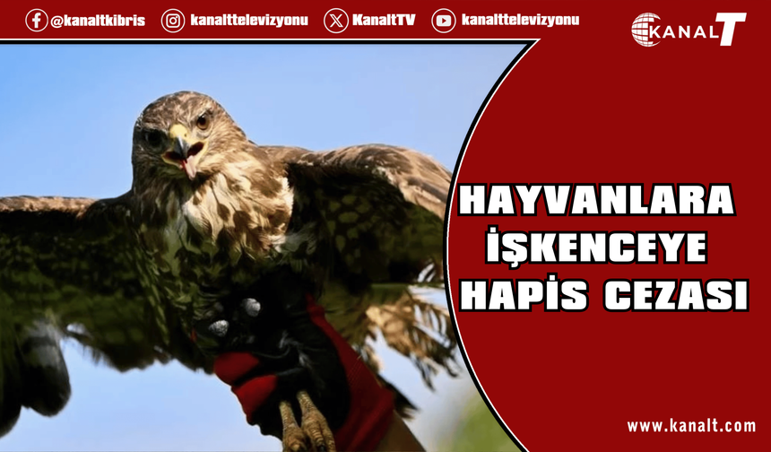 Şahin'e zorla alkol içiren kişiye, hayvanlara işkenceden hapis cezası