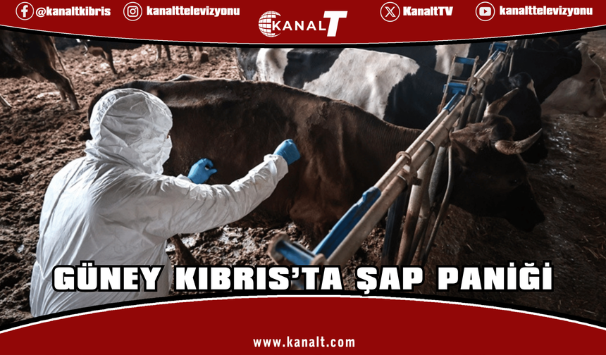 Hastalığın, KKTC'den kaçak yollarla Güney'e taşınan samandan yayıldığına dair şüpheler var