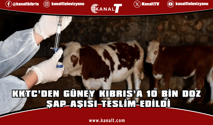 KKTC’den Güney Kıbrıs’a 10 Bin Doz Şap Aşısı Teslim Edildi