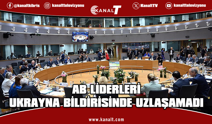 AB Liderler Zirvesi: Ukrayna'ya 25 AB üyesinden destek