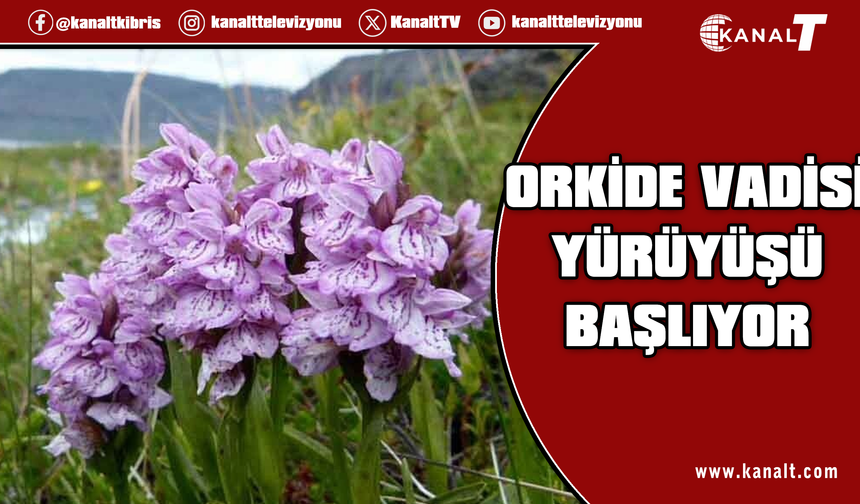 "14. Geleneksel Orkide Vadisi Gözlem Yürüyüşü" pazar günü yapılacak
