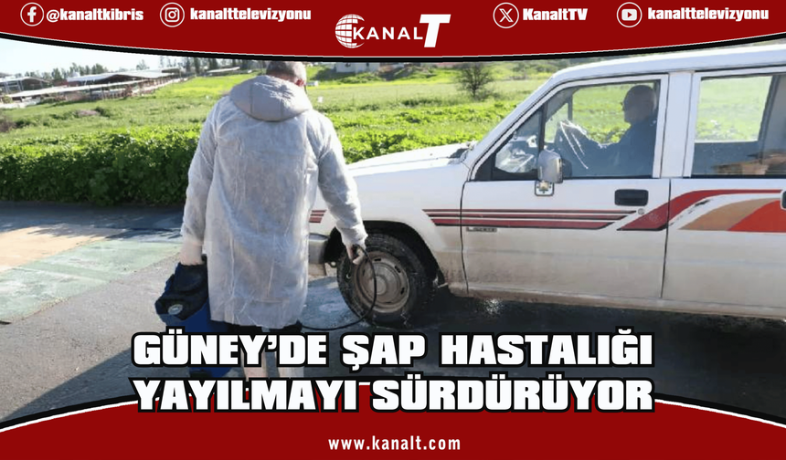 Güney Kıbrıs’ta şap hastalığı yayılmayı sürdürüyor