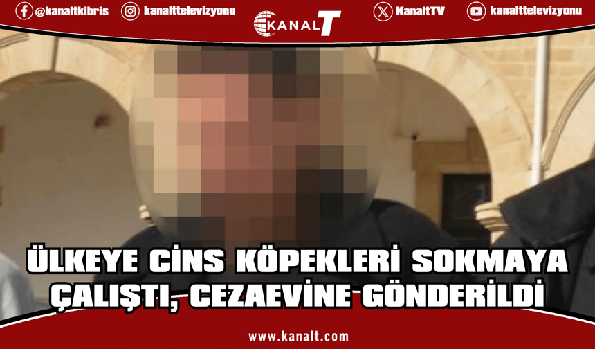 Sahte belgeyle ülkeye cins köpekleri sokmaya çalıştı