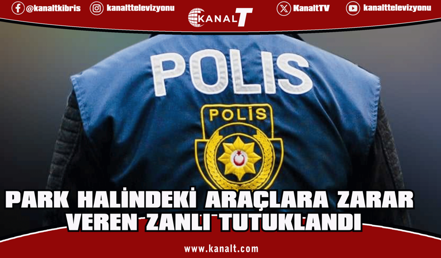 Park halindeki 9 aracın ayna ve sileceklerini çaldı