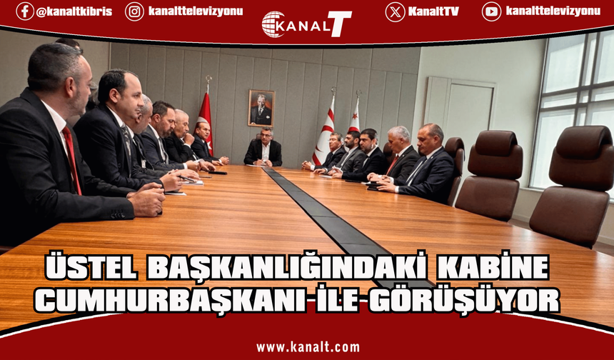 Üstel Başkanlığındaki Kabine Cumhurbaşkanı ile Görüşüyor