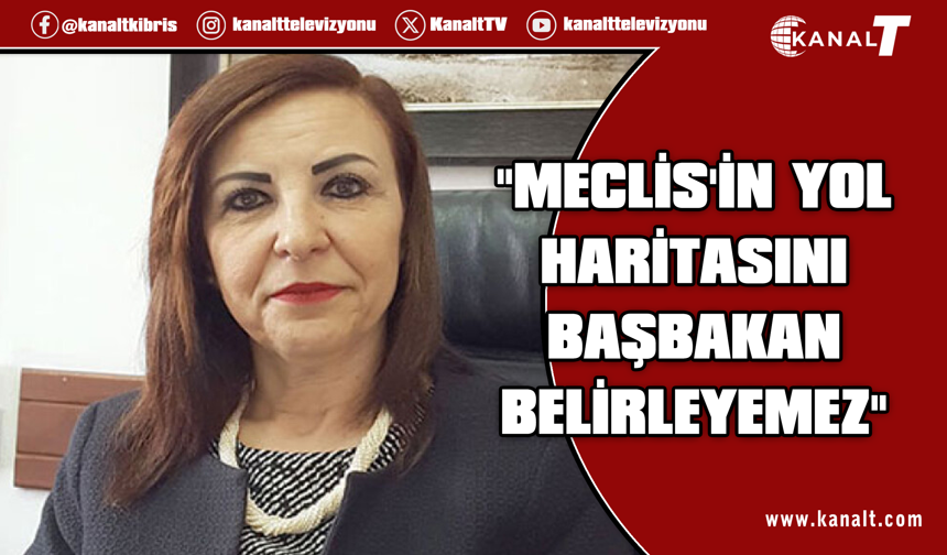 Emine Dizdarlı’dan Meclis açıklaması: Başbakan'ın Meclis idaresine ilişkin yetkisi yoktur