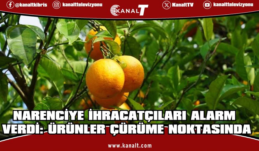 Narenciye İhracatçı Birlikleri: Grev nedeniyle bekletilen ürünler bozulmadan çözüm gerekiyor