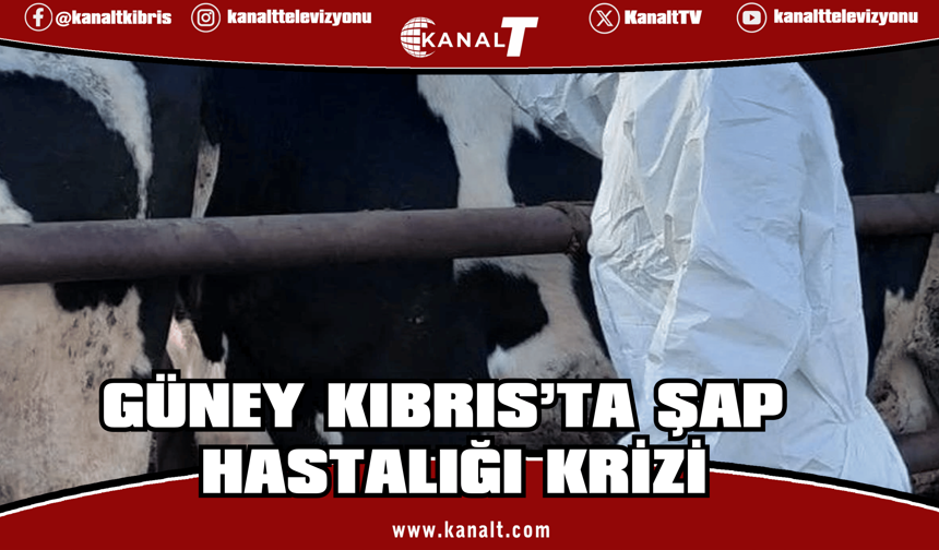 İki toplumlu komitede yeniden diyalog gündemde