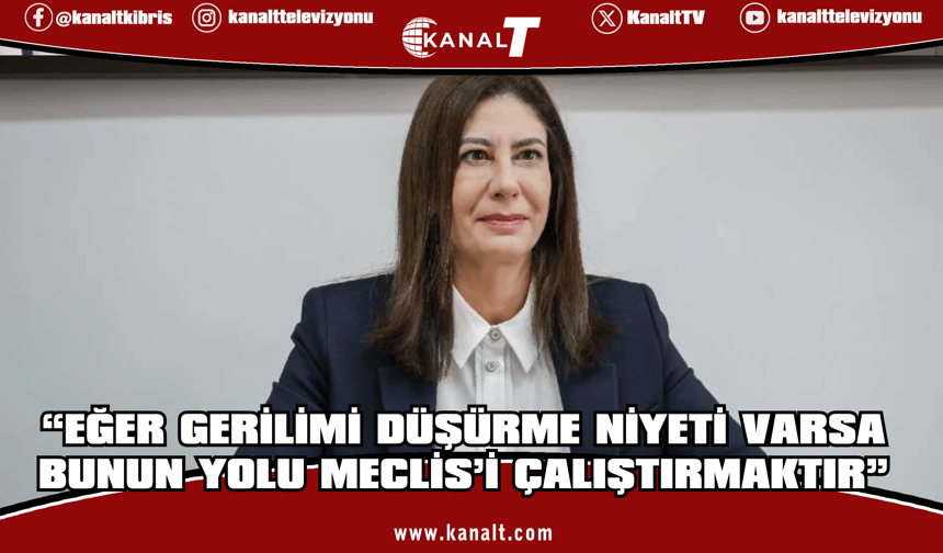 Sıla Usar İncirli: Eğer gerilimi düşürme niyeti varsa bunun yolu Meclis’i çalıştırmaktır