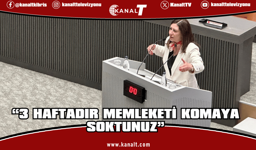 Sıla Usar İncirli: “3 haftadır memleketi komaya soktunuz”