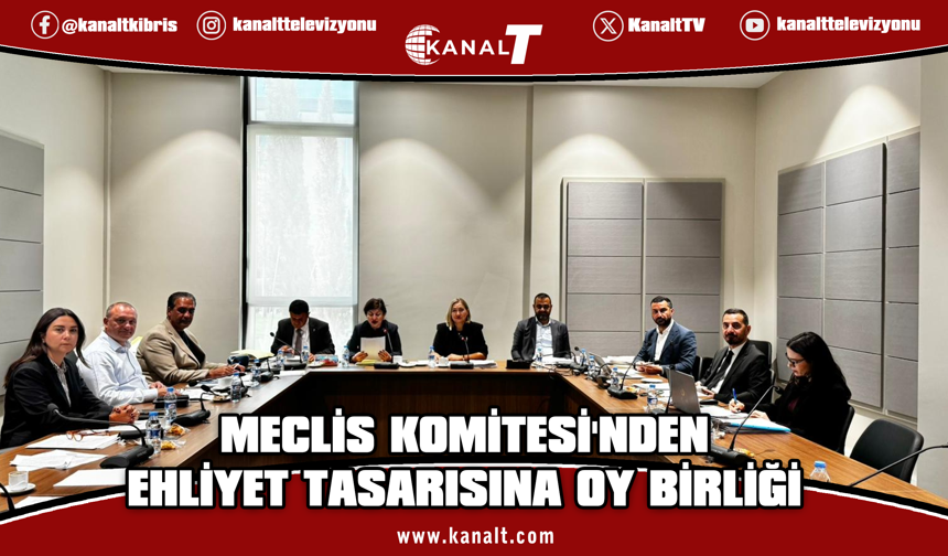 Hukuk, Siyasi İşler, Dışilişkiler ve Savunma Komitesi toplandı