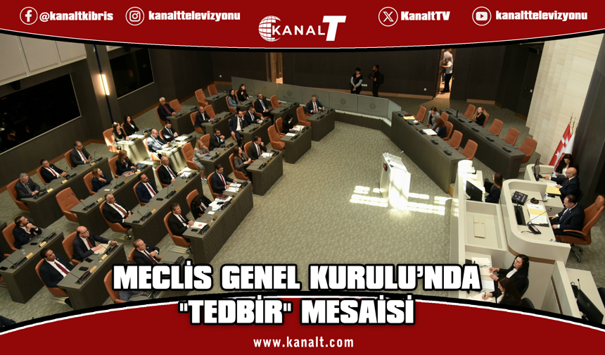 Meclis'te ekonomik tedbirler, tarım, erken seçim ve dijitalleşme konuşuldu