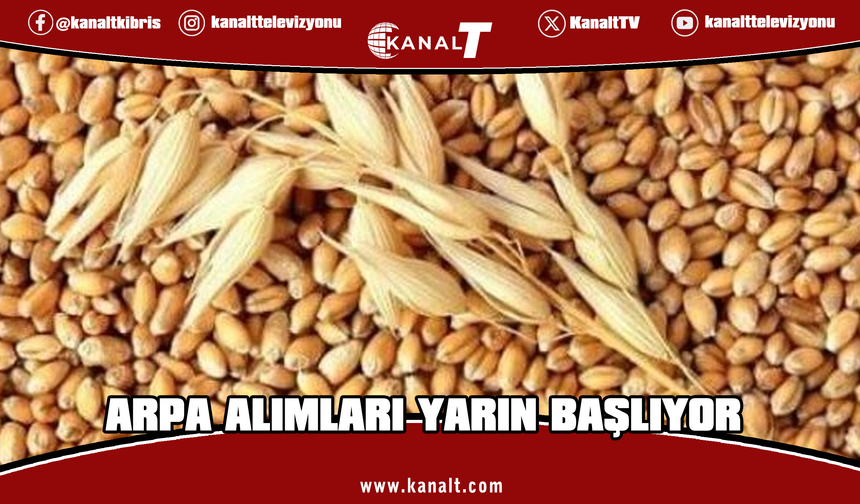 KTÇB: Üreticiler yarından itibaren arpa ürünlerini TÜK şubelerine ulaştırabilecek