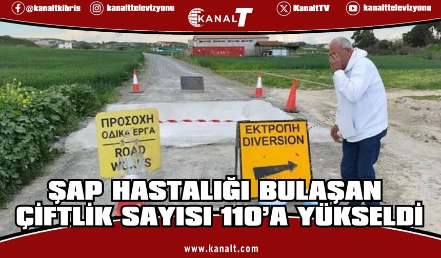 Güney Kıbrıs’ta şap hastalığı bulaşan çiftlik sayısı 110’a yükseldi