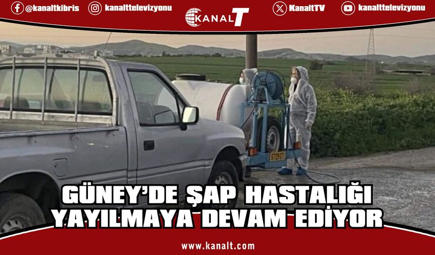 Güney Kıbrıs'ta şap hastalığı görülen mandıra sayısı 120’ye çıktı