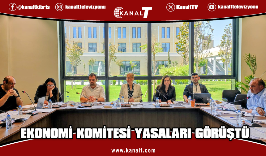 Ekonomi, Maliye, Bütçe ve Plan Komitesi bir öneri ile üç yasa tasarısını görüştü