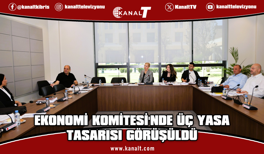 Ekonomi, Maliye, Bütçe ve Plan Komitesi üç yasa tasarısını görüştü