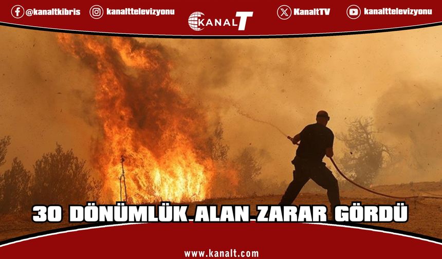 Kırıkkale’de yangın… 30 dönümlük alan zarar gördü