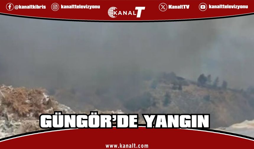 Güngör'de yangın