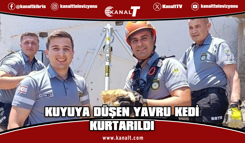 30 metrelik kuyuya düşen yavru kedi kurtarıldı