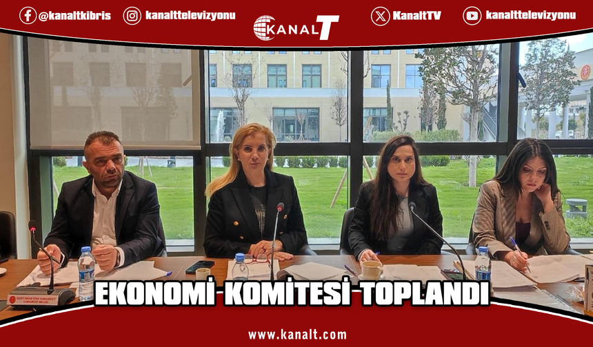 Ekonomi Komitesi 4 yasa tasarısını onaylayarak Genel Kurul’a sevk etti