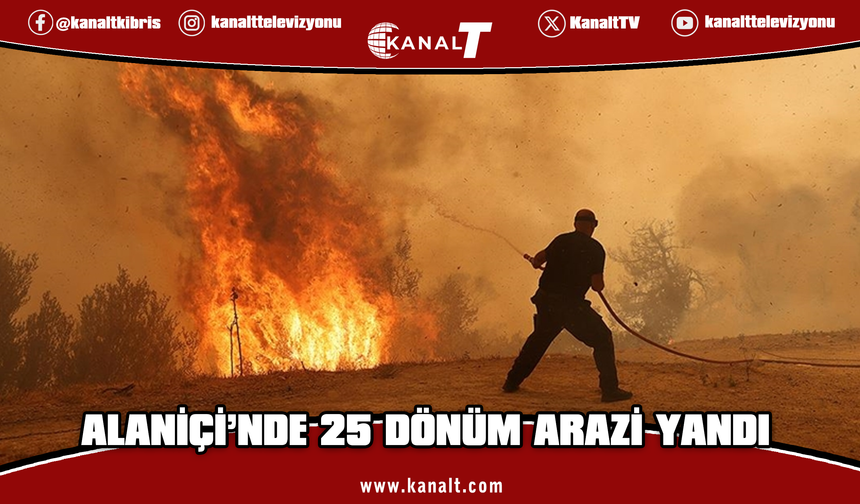 Alaniçi'nde çıkan yangında yaklaşık 25 dönüm tarım arazisi zarar gördü