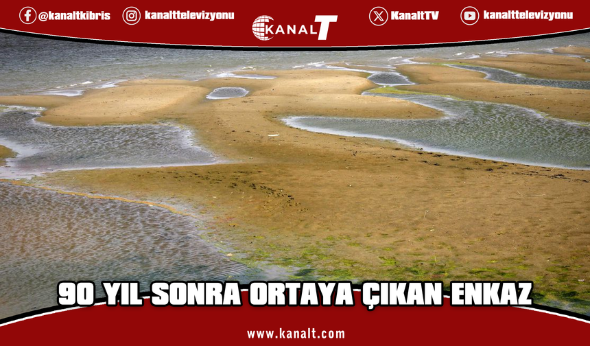 Tuna Nehri'nde rekor kuraklık: 90 yıl önce batan yük gemisi su yüzüne çıktı