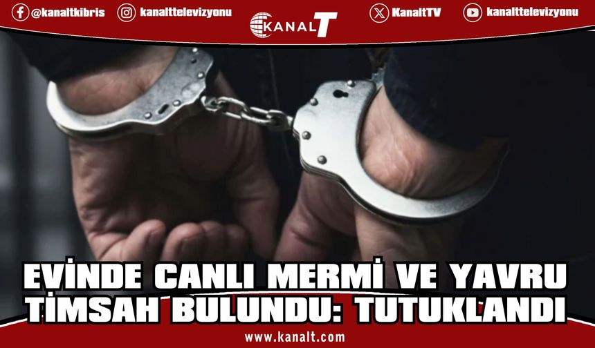 Evinde canlı mermi ve yavru timsah bulundu