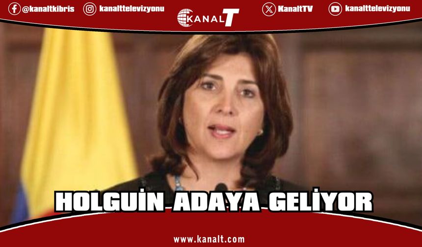 Holguin Liderlerle ayrı ayrı görüşecek, Brüksel ve Ankara temasları hakkında bilgi verecek