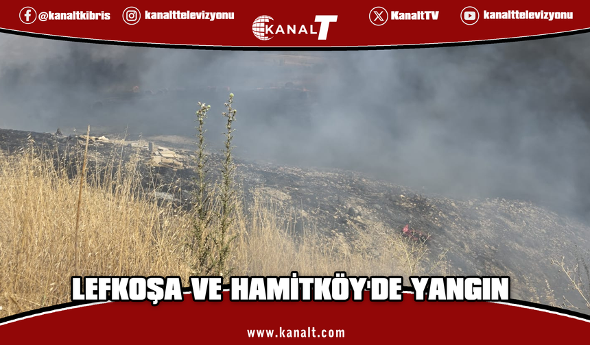 Lefkoşa Sanayi Bölgesi'nde yangın: 40 dönümlük arazi küle döndü