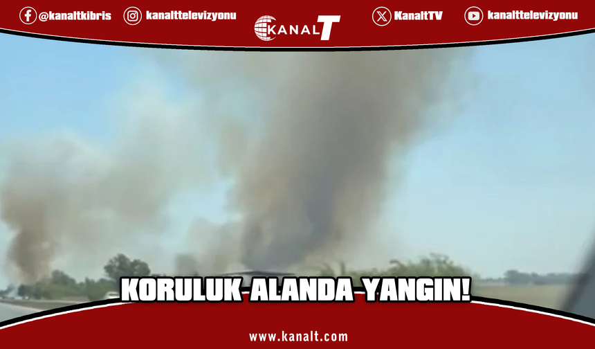 Turunçlu-Dörtyol arasında koruluk alanda yangın
